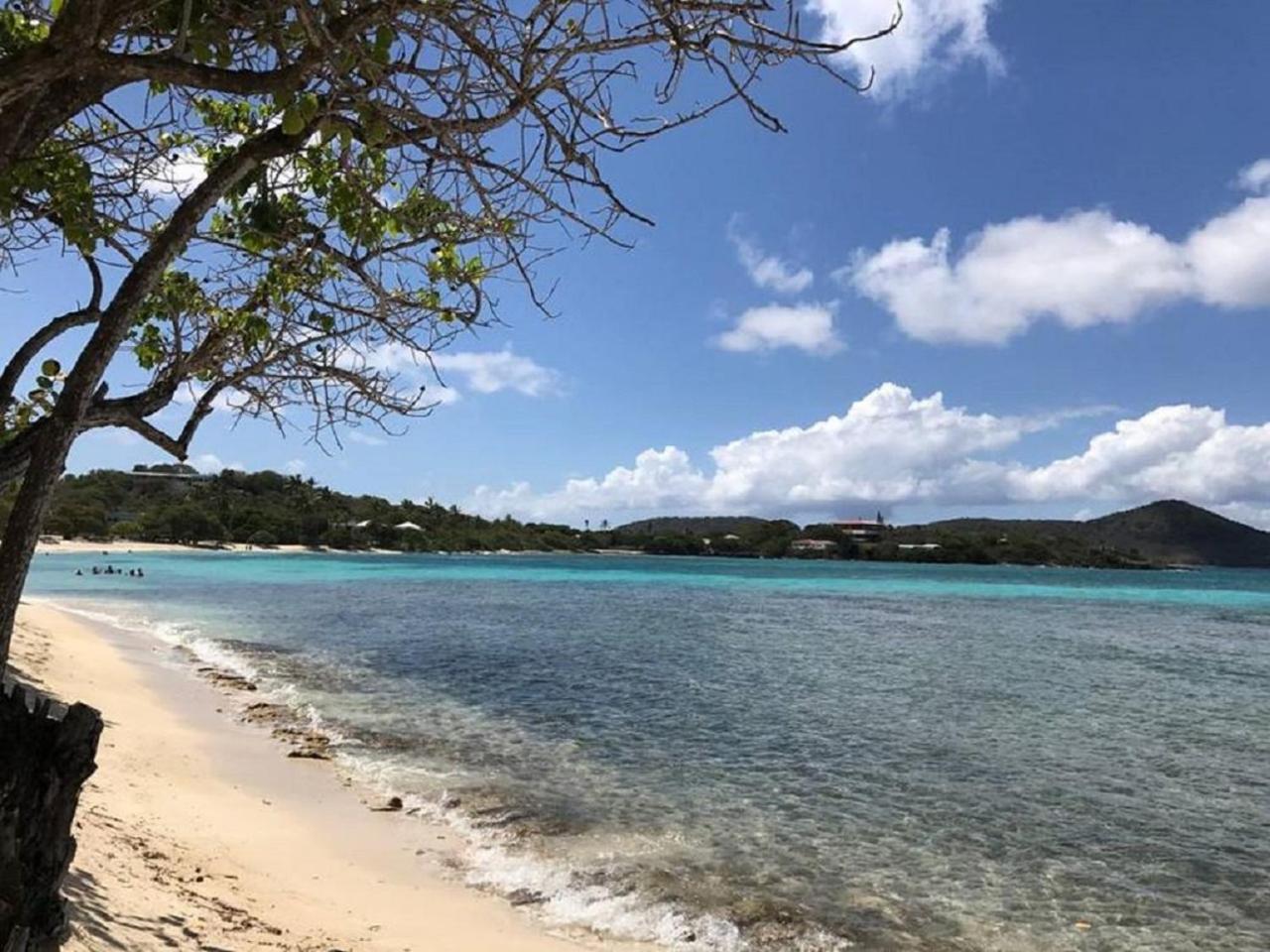 Sapphire Beach Resort And Marina East End  Εξωτερικό φωτογραφία